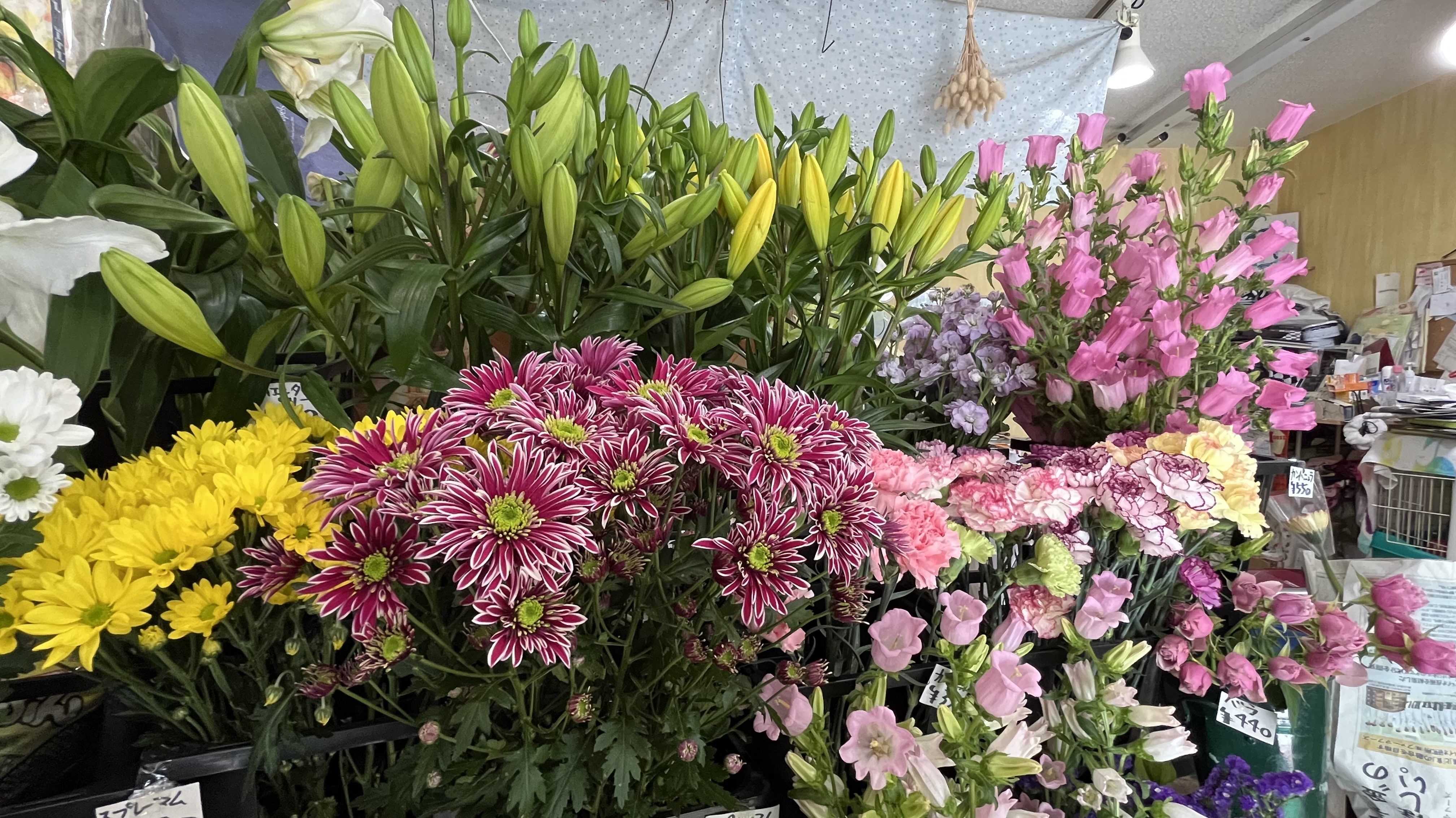 花うさ