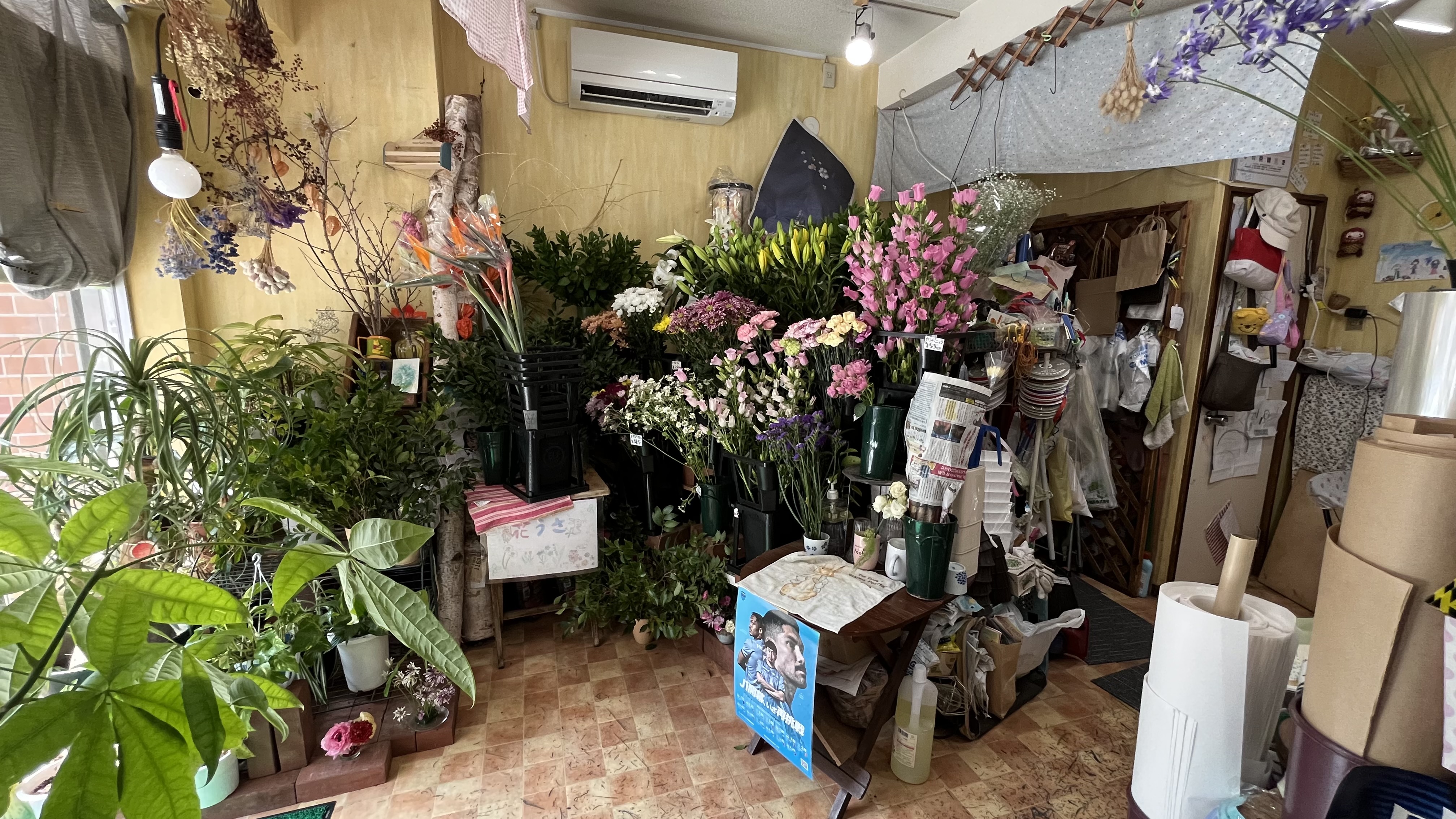花うさ