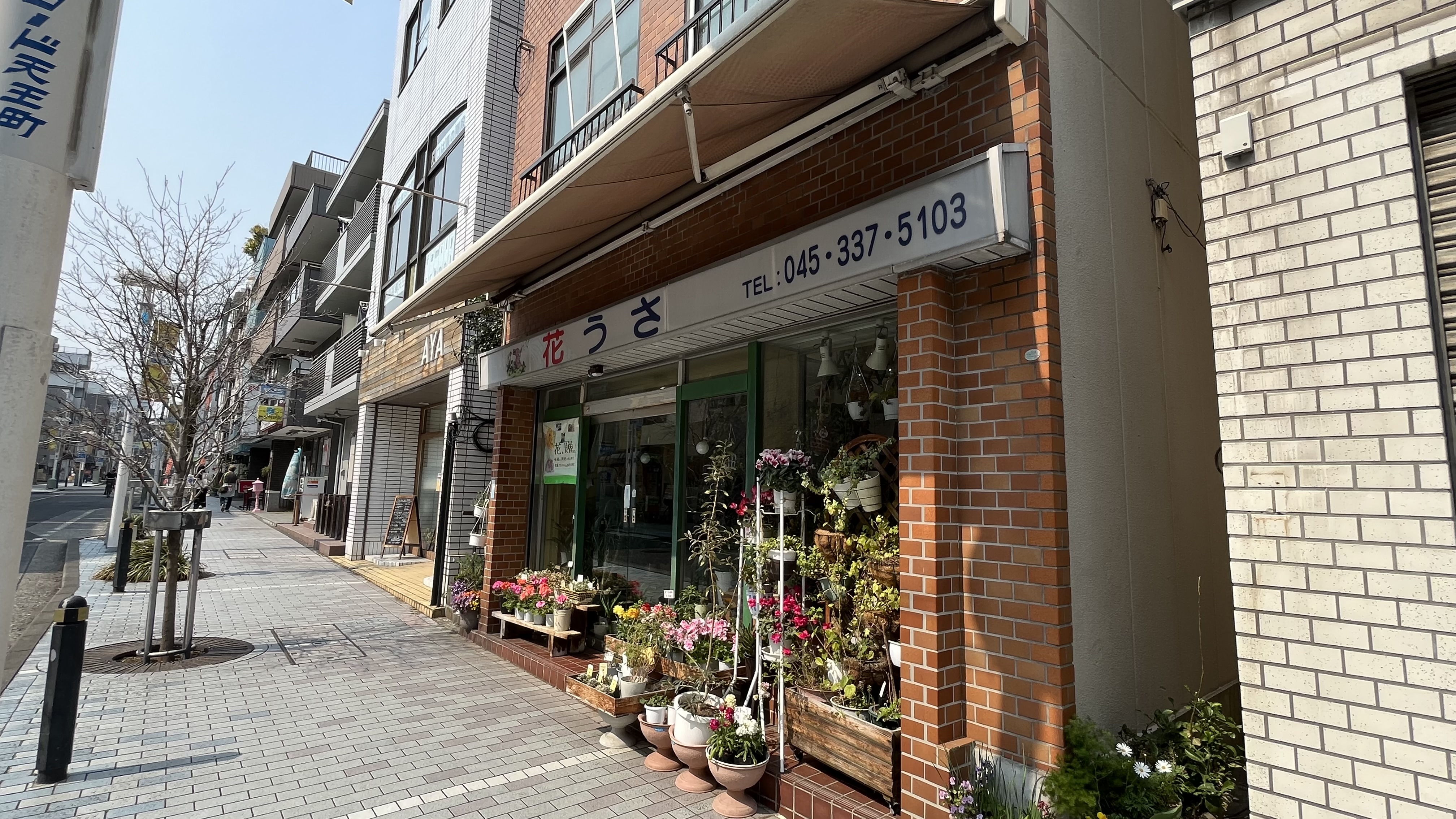 花うさ