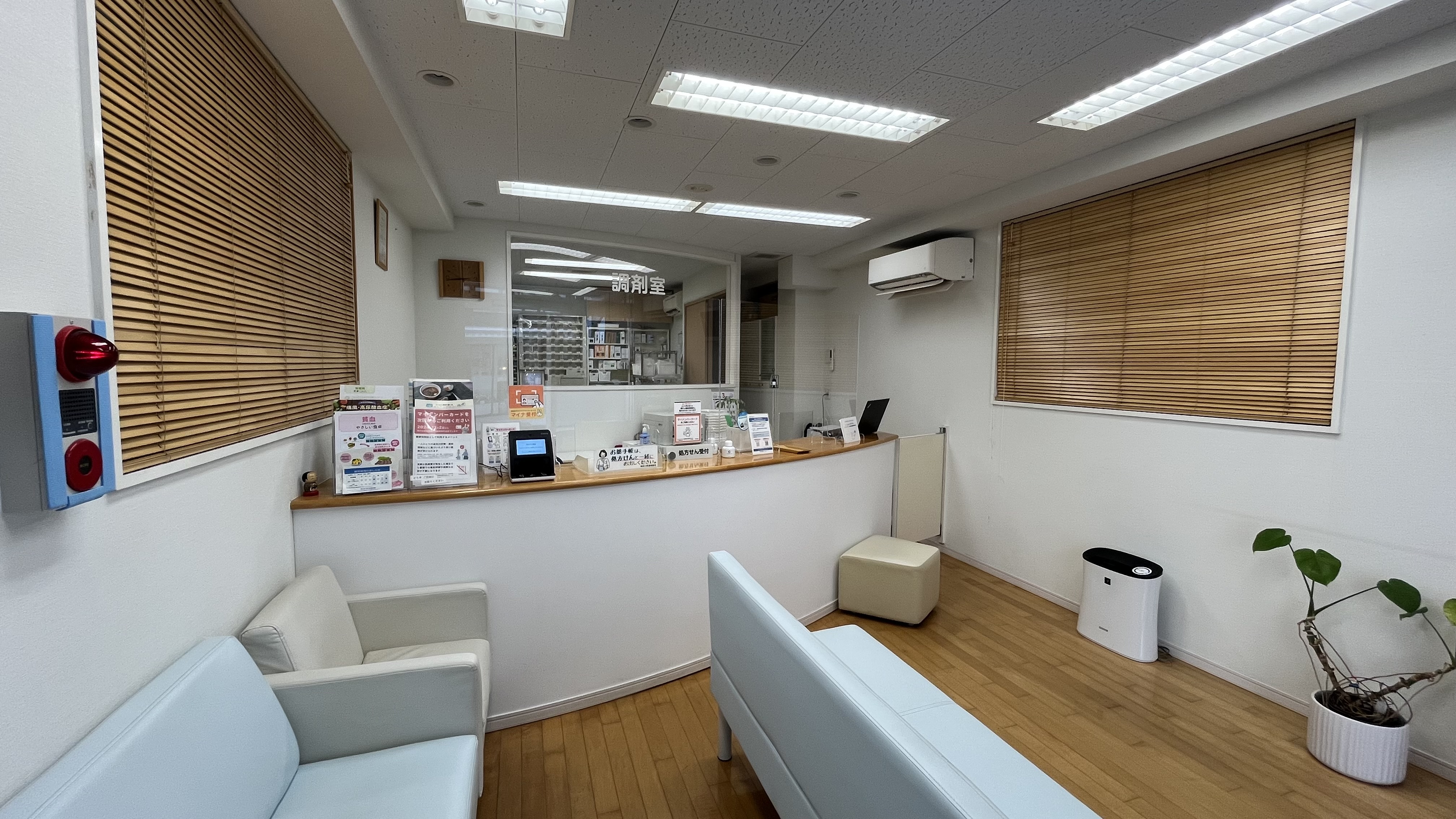 あおぞら薬局