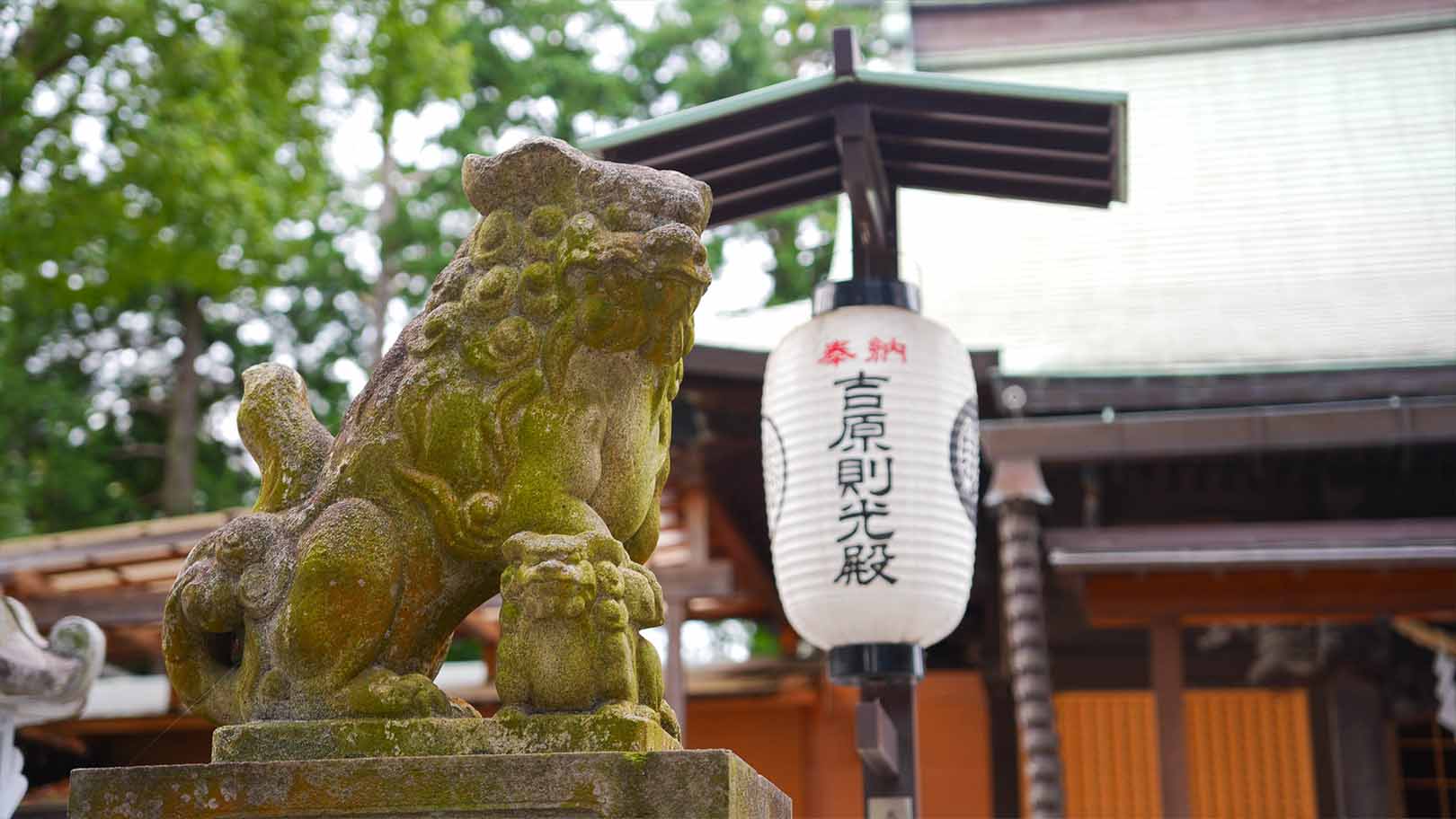 星川杉山神社